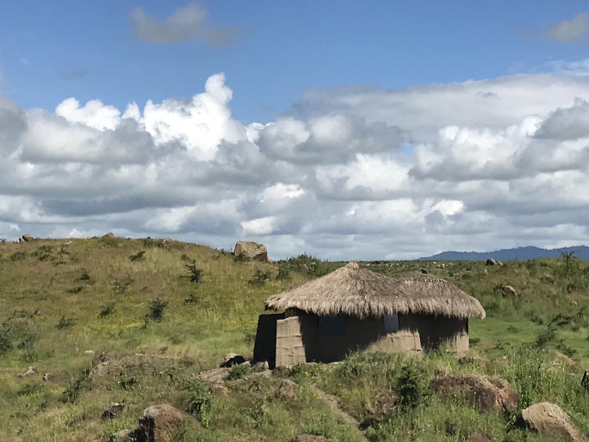 Sanya Juu Osiligilai Maasai Lodge المظهر الخارجي الصورة